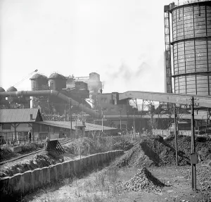 Historians: Konev plant