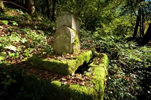 Wurttemberg: Konig Karl Quelle - Argonne