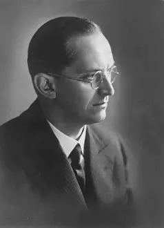 Henlein: Konrad Henlein, 1935