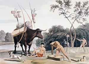 Khoikhoi: Korah Hottentots Preparing to Remove, 1831