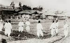 Cropland: Korea: farmers in the field