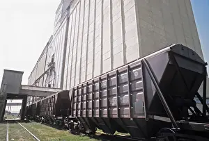 Wagons: Korenevsky grain reception centre, 1985