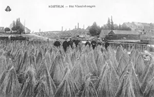 Sheaf: Kortrijk - sheafs of corn