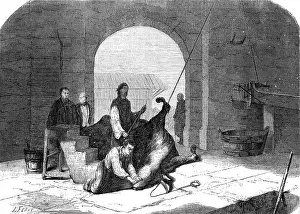 Kosher: KOSHER SLAUGHTER 1858