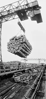 Gubsky: Koslan logging operation