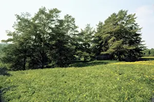 Kostroma: Kostroma region, 1975