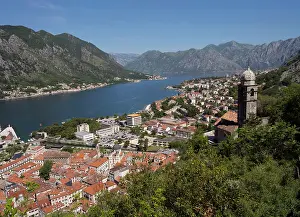 Boche: Kotor, Bay of Kotor, Montenegro