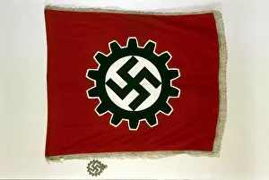 Insigna: Kraft durch Freude