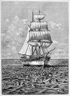 Krakatoa: KRAKATOA/CORPSES 1883