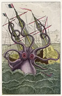 Kraken: Kraken Attacks a Ship
