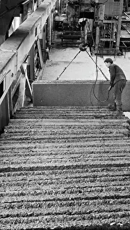 Cheap: Krasnoyarsk Timber-handling Works