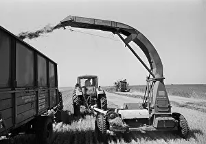 Crops: Krasnoyarsky Sovkhoz [State Farm]