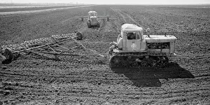 Chepurko: Krasny Mayak state farm