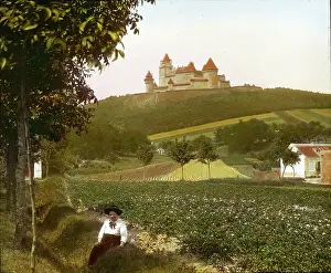 Croplands: Kreuzenstein Castle