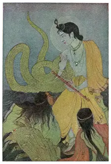 Hydra: KRISHNA & KALIYA