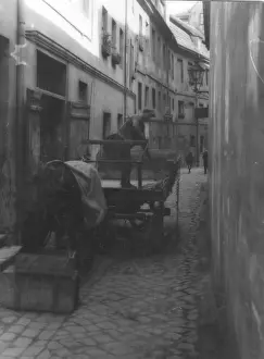 Poorly: At the Krogel in Berlin, 1928
