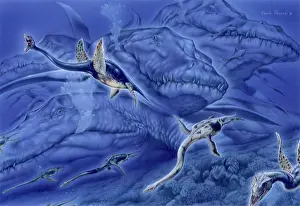 Loch: Kronosaurus and Elasmosaurus, among which an individual