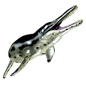 Kronosaurus: Kronosaurus is a large pliosaur reptile that lived in ?