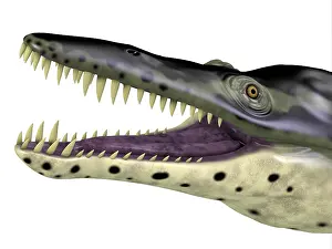 Menacing: Kronosaurus reptile head