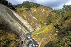 Vainstein: Kronotsky Nature Reserve, 1985