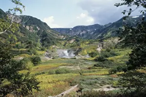 Vainstein: Kronotsky Nature Reserve, 1985
