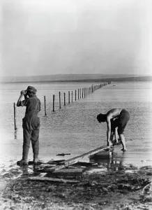 Taman: Kuban bridgehead, 1943