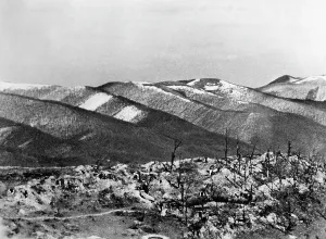 Taman: Kuban bridgehead, 1943