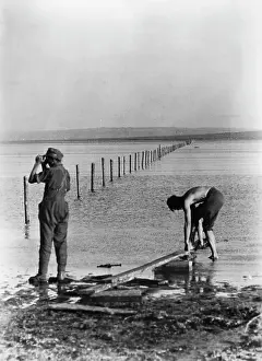 Stakes: Kuban bridgehead, 1943