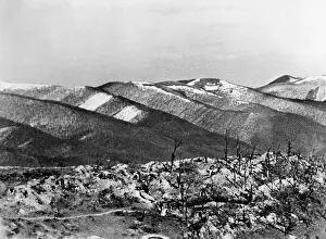 Kuban: Kuban bridgehead, 1943