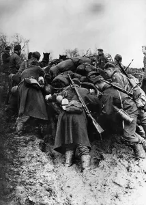 Pushing: Kuban bridgehead, 1943