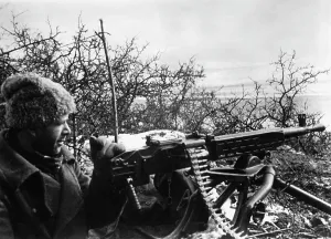 Kintscher: Kuban Front, 1943