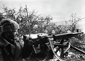 Kintscher: Kuban Front, 1943