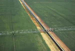 Watering: Kuban irrigation sprinkler system, 1985
