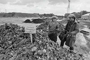 Inspect: Kuibyshev Sugar Plant
