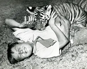 Chipperfield: Kumar the Tiger - with Dickie Chipperfield