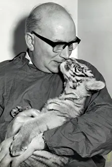Superintendent: Kumar the Tiger - with keeper at London Zoo