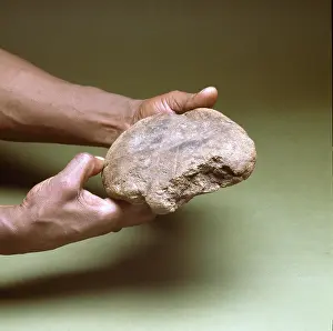 Kunga: Kunga cake