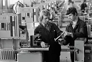 Needle: Kuntsevo Platinum Needle Plant