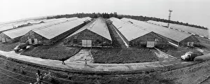 Kazantsev: Kuzovlevsky State Farm