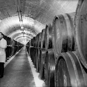Winery: Kvareli Winery, 1966