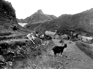 Kynance: Kynance Cove, from Cliff Road 1927