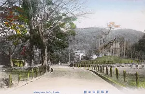 Propped: Kyoto, Japan - Maruyama Park