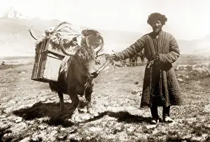 Kyrgyz: Kyrgyz with a yak