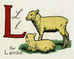 Deans: L for Lambs
