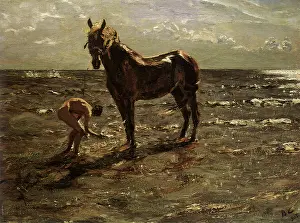 Alexandrovitch: La Baignade du Cheval