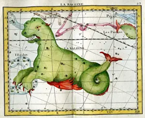 Flamsteed: La Baleine