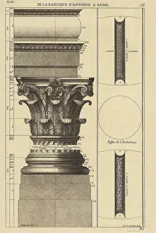 Acanthus: De La Basilisque D'Antonin