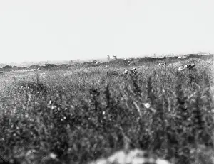 Boisselle: La Boisselle 1916