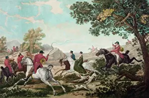 Chasse: La chasse