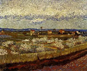 Peach: La Crau with Peach Trees in Bloom, by Van Gogh